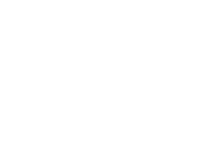 logo BfFF